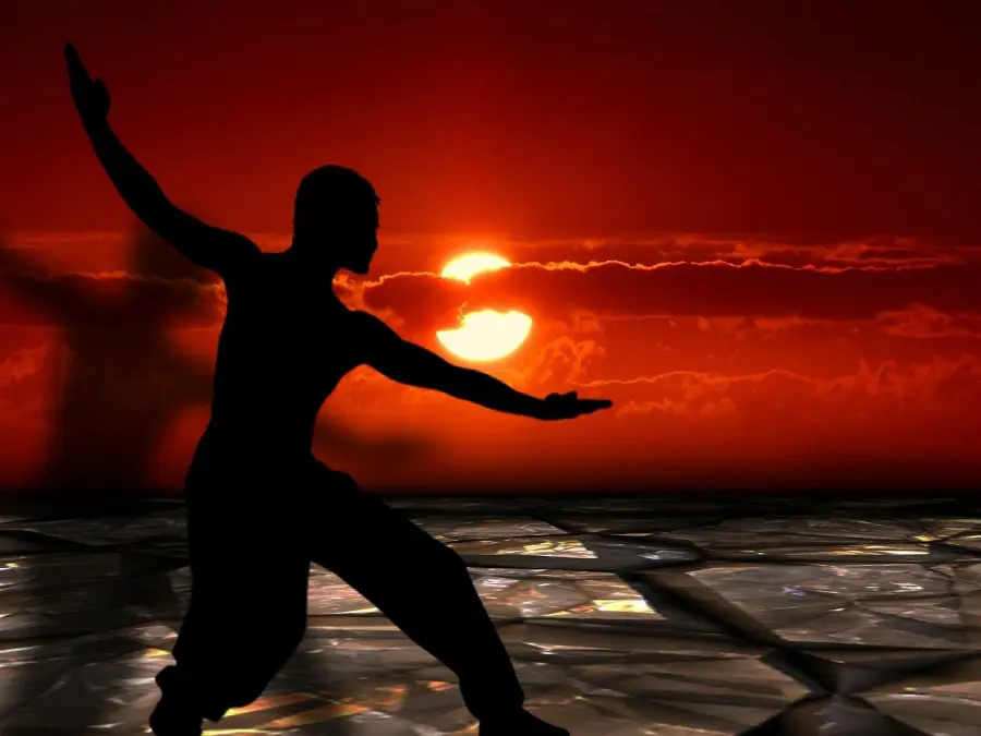 Lezioni di Tai Chi online: la soluzione adatta per ogni livello